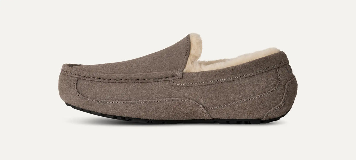 Men's Ascot - GREY
