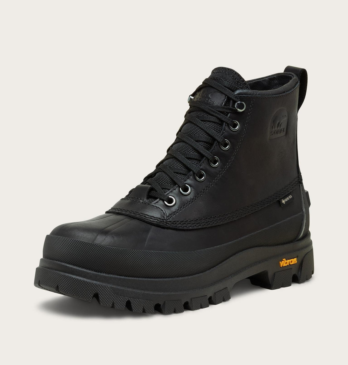 Daystorm Horizon™ GTX Men's Boot - Black, Black